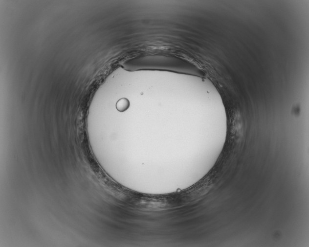 X0000116270559200912211800