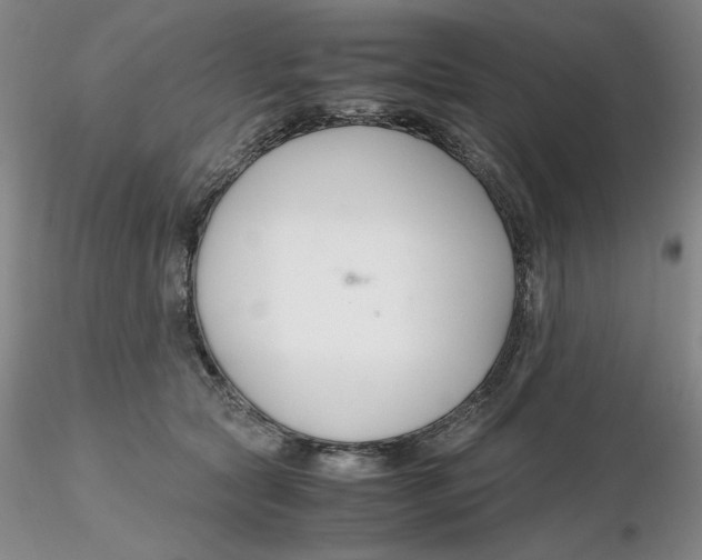 X0000116270561200912211800
