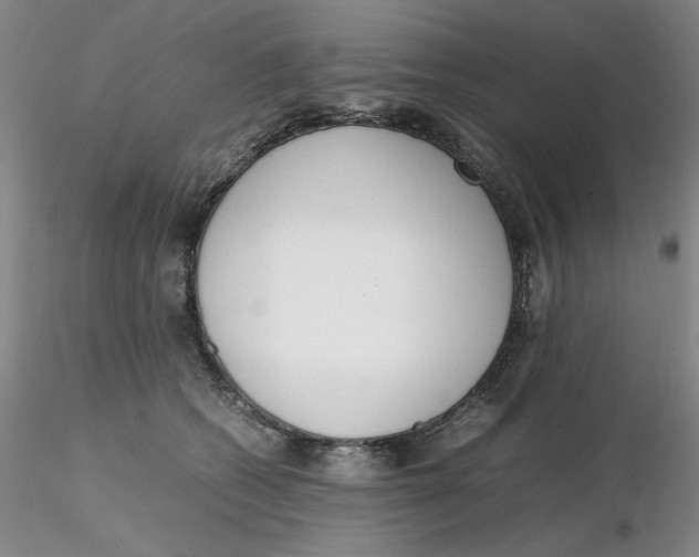 X0000116270562200912211800