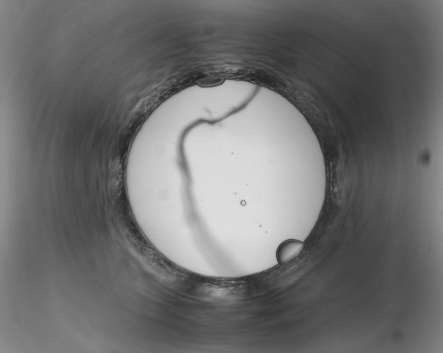 X0000116270563200912211800