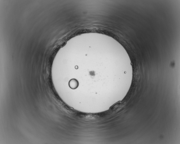 X0000116270566200912211800