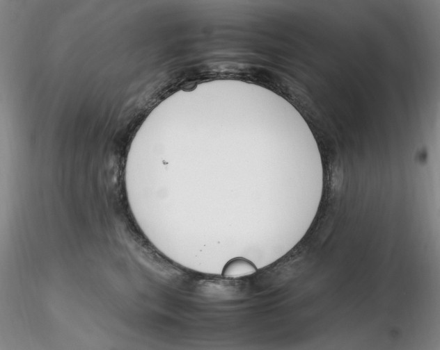 X0000116270567200912211800