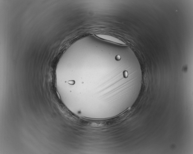 X0000116270570200912211800