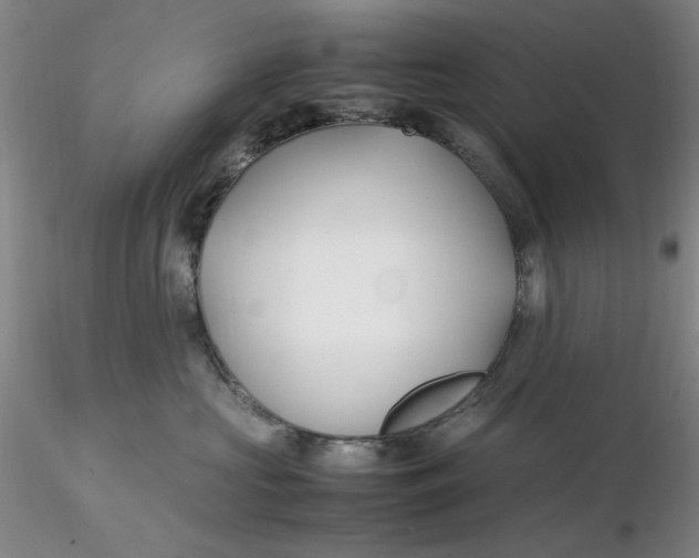 X0000116270573200912211800