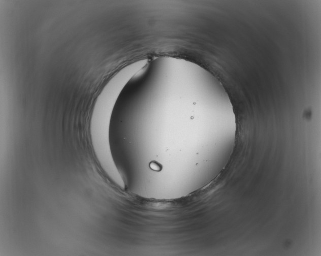 X0000116270575200912211801