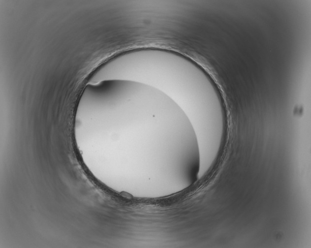 X0000116270577200912211800