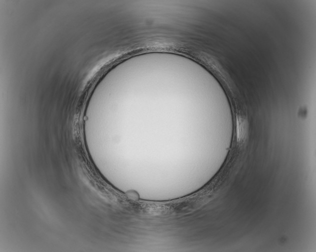 X0000116270579200912211800