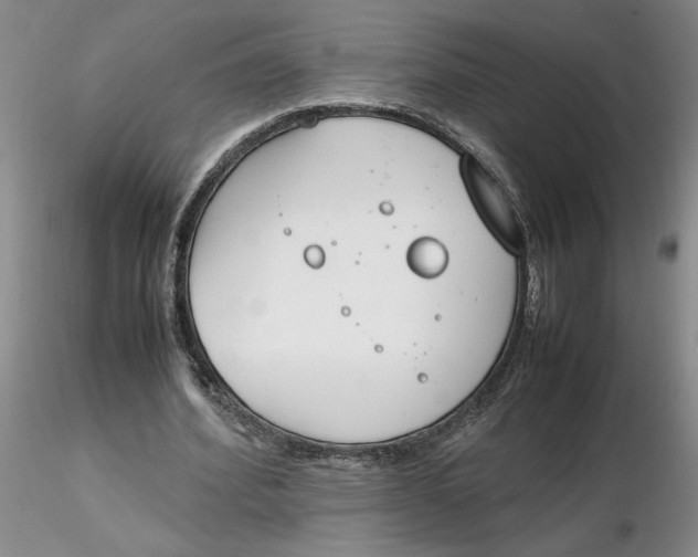 X0000116270580200912211800