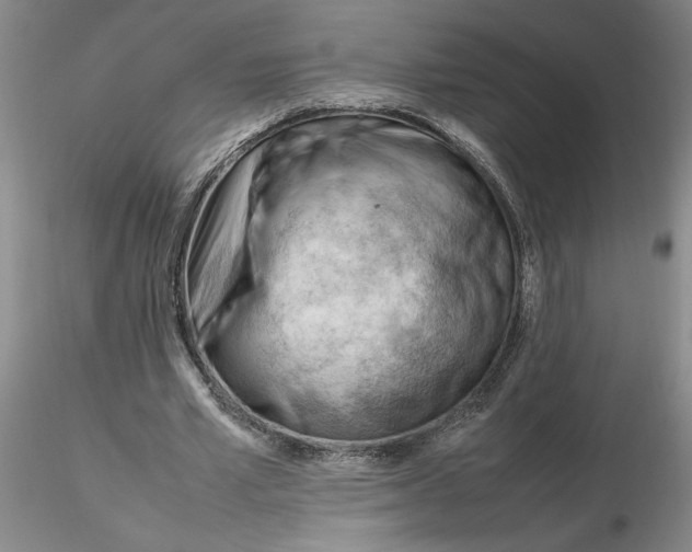 X0000116270581200912211800