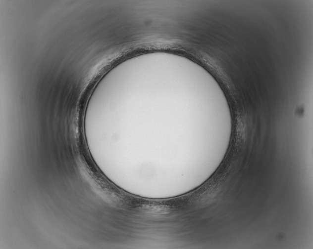 X0000116270582200912211800