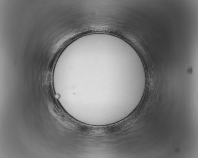 X0000116270583200912211800