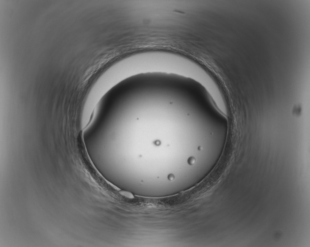 X0000116270585200912211800