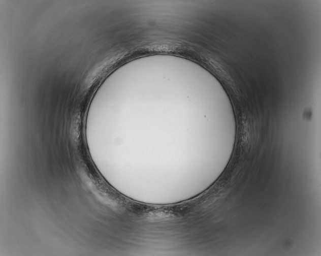 X0000116270586200912211800