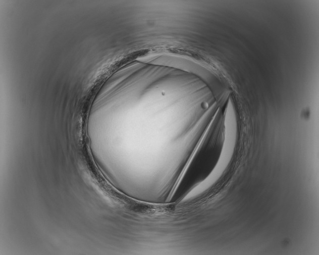 X0000116270589200912211800