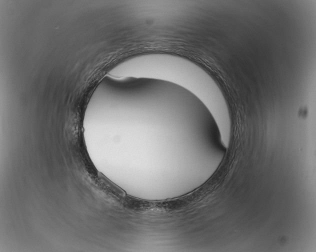 X0000116270593200912211800