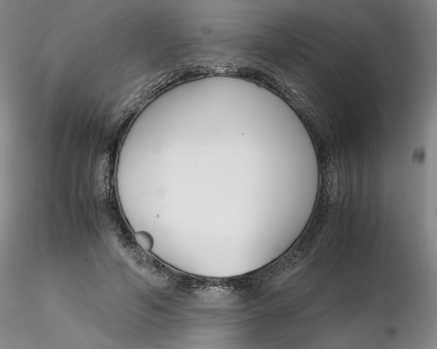 X0000116270594200912211800