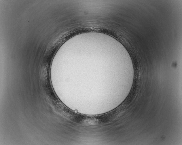 X0000116270595200912211800