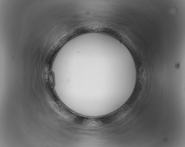 X0000116270597200912211800