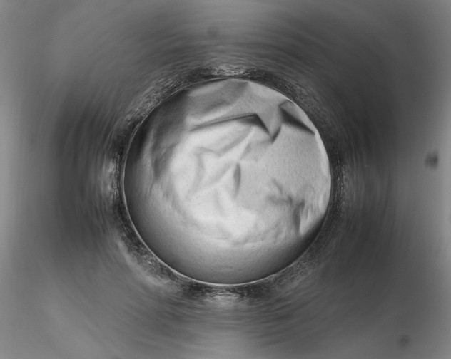 X0000116270598200912211800