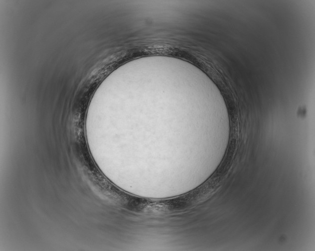 X0000116270599200912211800