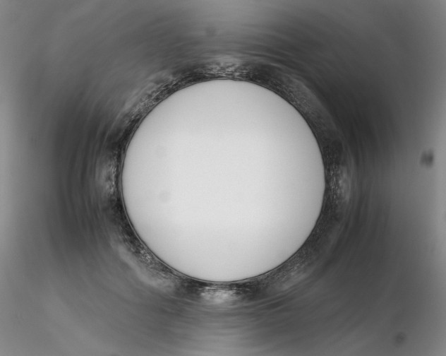 X0000116270602200912211800