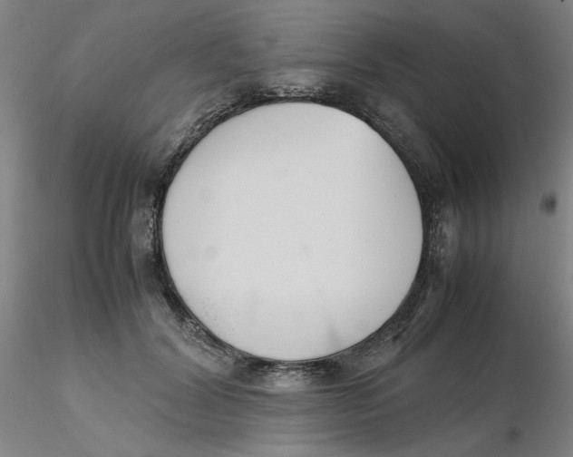 X0000116270604200912211800