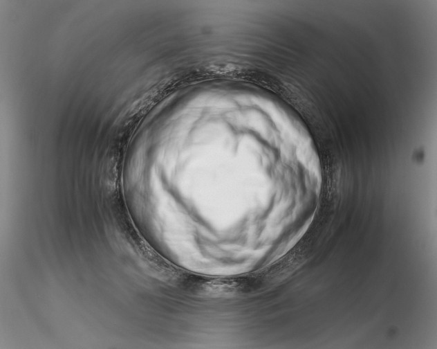 X0000116270606200912211759
