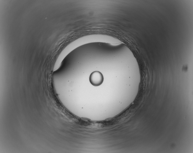 X0000116270609200912211759