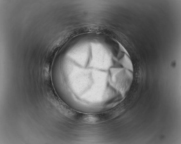 X0000116270610200912211759