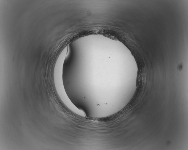 X0000116270611200912211759