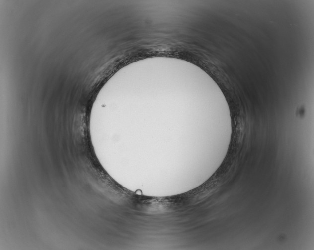 X0000116270612200912211759