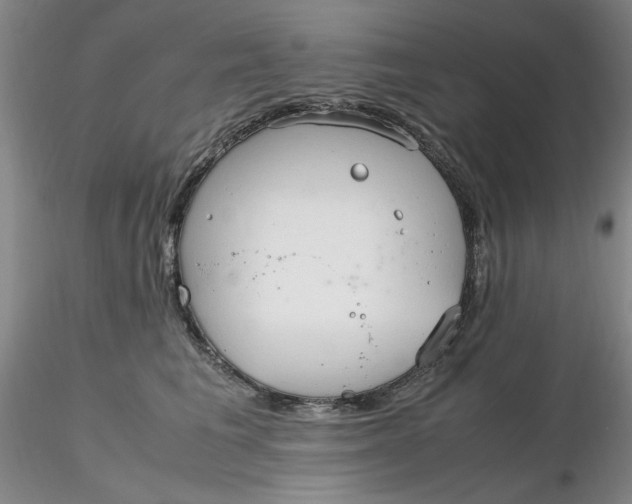 X0000116270613200912211759