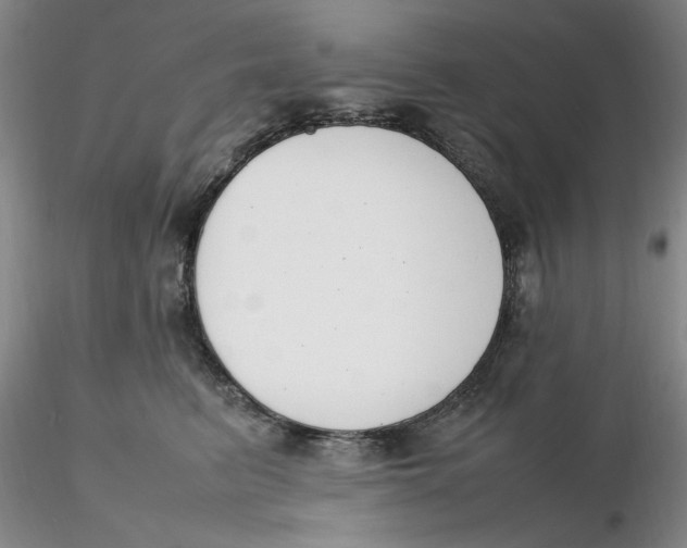 X0000116270615200912211759