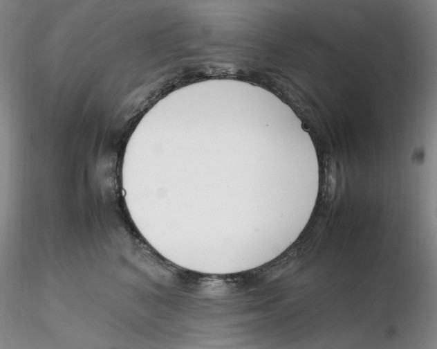 X0000116270616200912211759