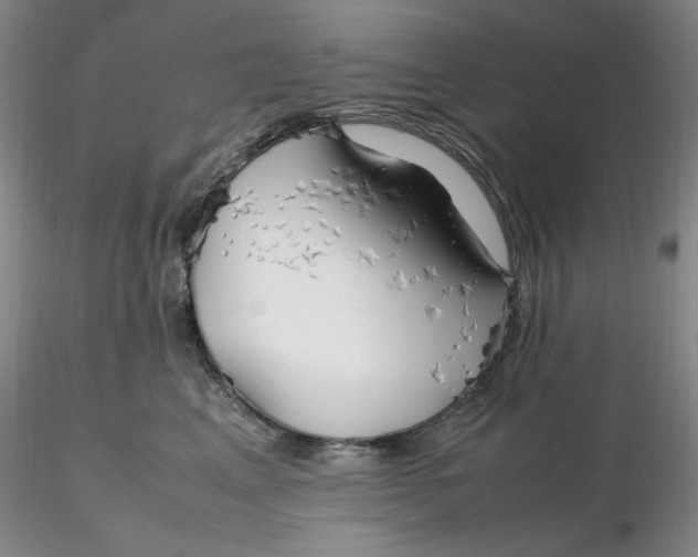 X0000116270617200912211759