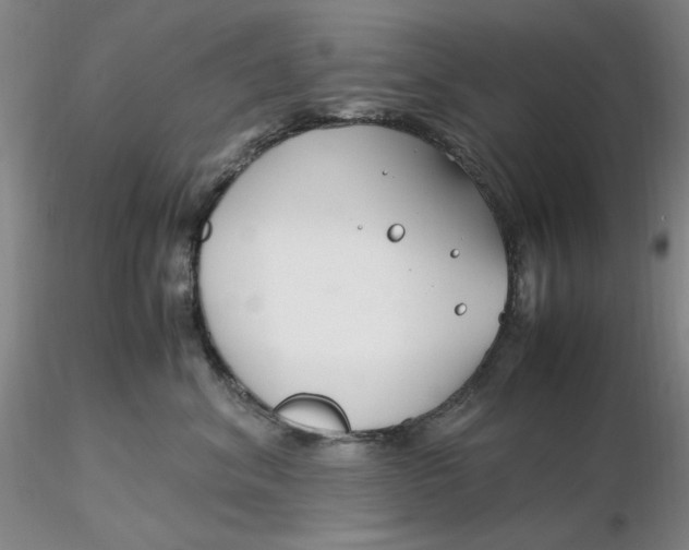 X0000116270620200912211759