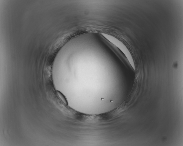 X0000116270621200912211759