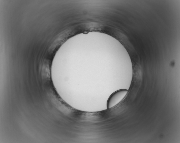 X0000116270622200912211759