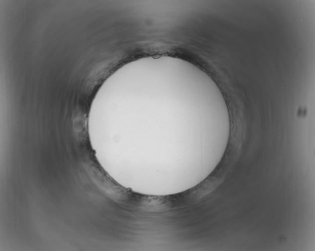 X0000116270624200912211759