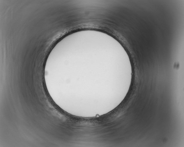 X0000116270625200912211759
