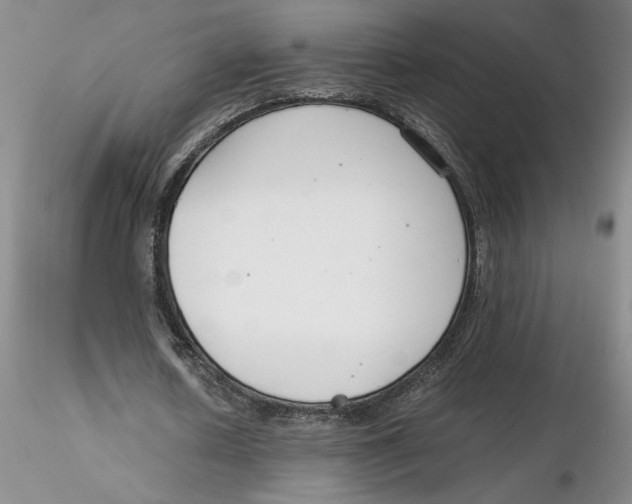 X0000116270626200912211759