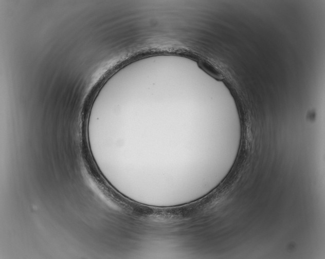 X0000116270630200912211759