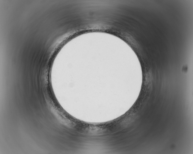 X0000116270632200912211759