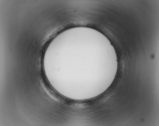 X0000116270638200912211759