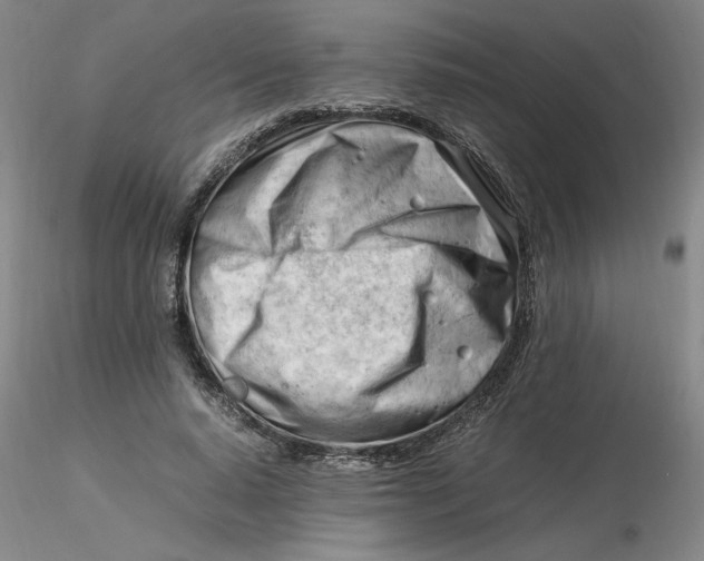 X0000116270640200912211759