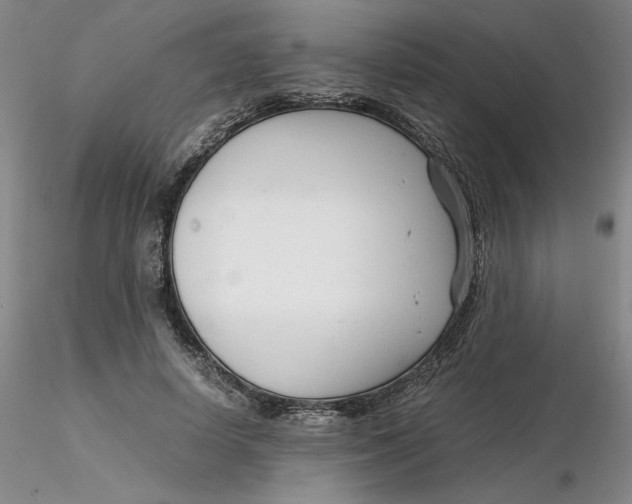 X0000116270642200912211759