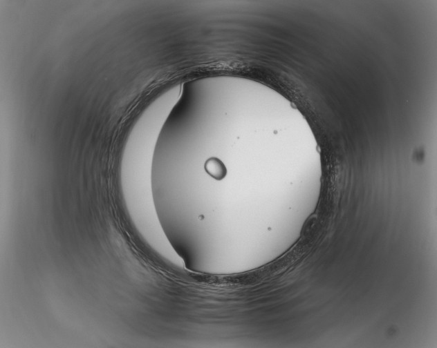 X0000116270643200912211759
