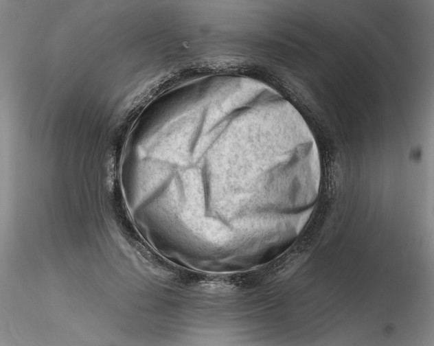 X0000116270644200912211759
