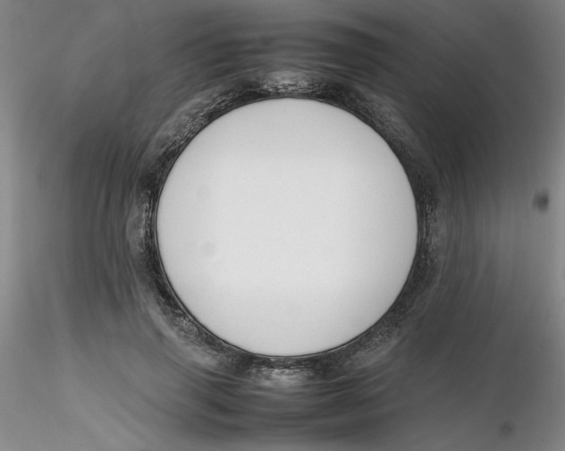 X0000116270645200912211759
