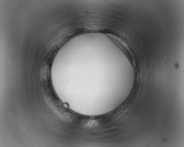 X0000116270647200912211759